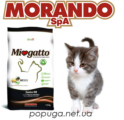 Morando (Miogatto), Італія, корм для кішок