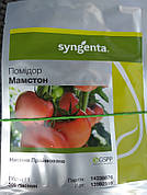 Супер ціна! Мамстон F1/Mamston F1 — Томат індетермінантний, Syngenta. 500 насіння