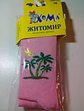 Колготки дитячі демісезонні 104-110 ТМ "Хома Житомир" РОЖЕВИЙ ПАЛЬМА, фото 2