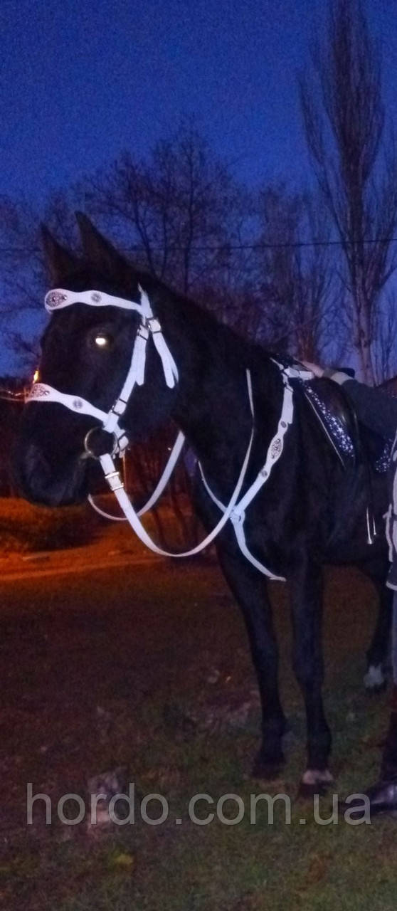 Зручка підперся приводу, фото 1