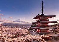Постер плакат "Гора Фудзи Блоссом / Mount Fuji Blossom" 140x100см (ps-001481)