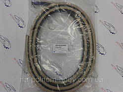 Ущільнювач задньої лівої і правої двері по кузову Епіка (бежевий); GM , Південна Корея