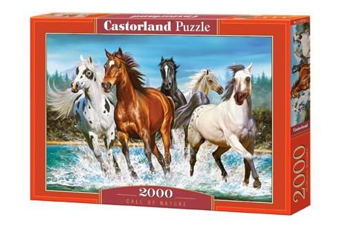 Пазли 2000 елементів "зв'язку природи", C-200702 ❑ Castorland