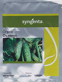 Насіння огірка Октопус 500 шт., Syngenta