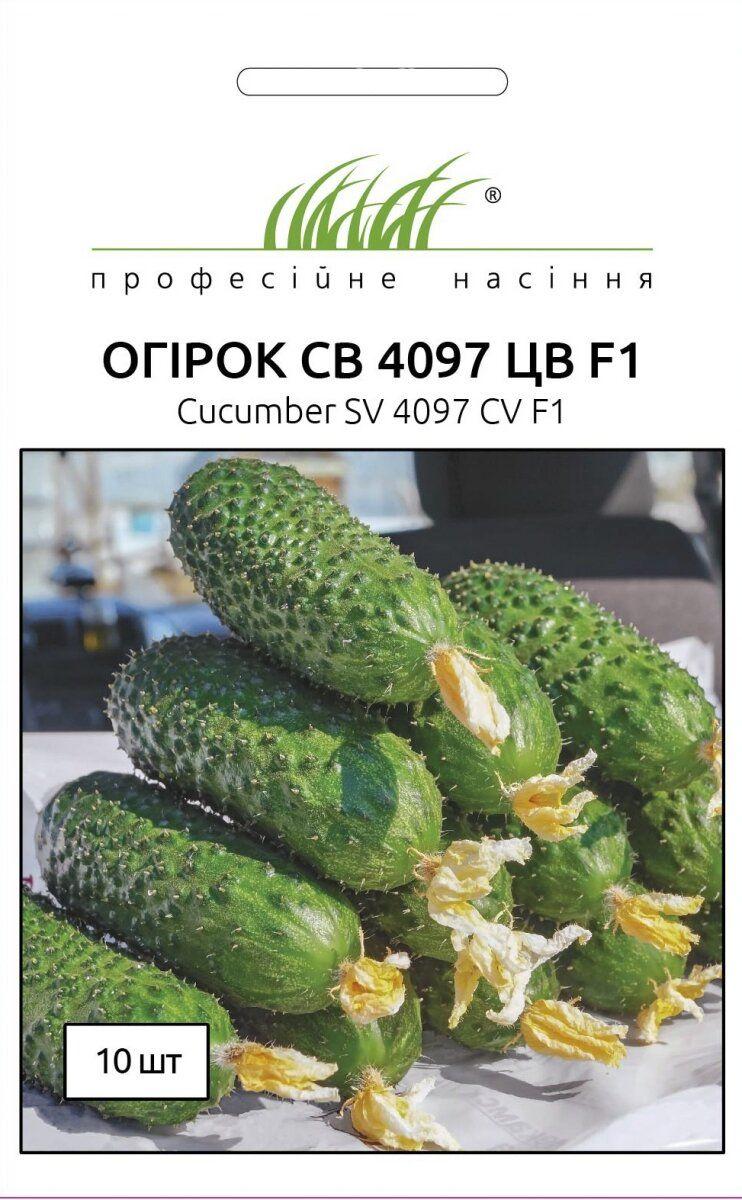 Огірок СВ 4097 ЦВ 10шт.