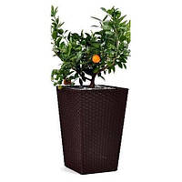 Горшок для цветов Keter Medium Rattan Planter