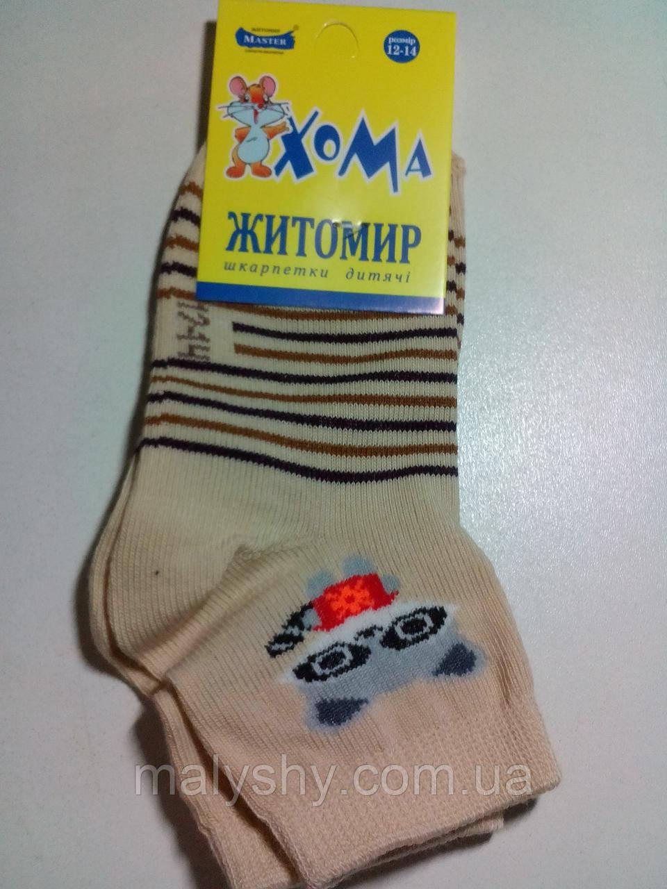 Детские носки демисезонные ХОМА ЖИТОМИР р.12-14 ЕНОТ-беж /шкарпетки дитячі демісезонні, носочки