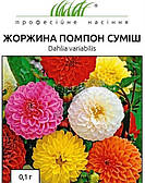 Жоржина Помпон суміш, 0,1 г