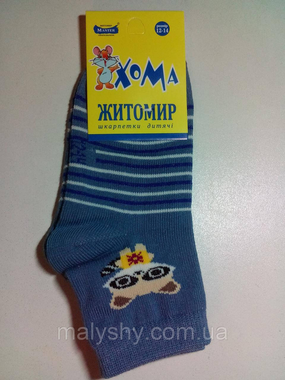 Детские носки демисезонные ХОМА ЖИТОМИР р.12-14 ЕНОТ-серо-голубой /шкарпетки дитячі демісезонні, носочки