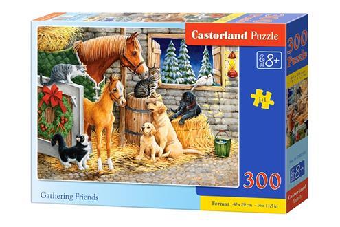 Пазли 300 елементів "Друзі", B~030255 <unk> Castorland