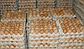 Інкубаційне яйце бройлера КОББ 500 (Україна) звідтам молодиця, фото 2