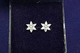 Сережки Гвоздики срібло 925 проби АРТ2001, фото 2