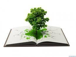 Препарати для здоров'я Greenwood