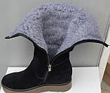 Зимові високі жіночі замшеві чоботи на товстій підошві від виробника модель ПЕ2011, фото 3