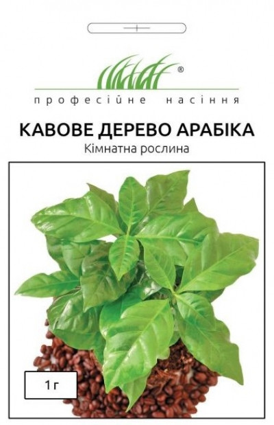 Кавове дерево Арабіка, 1 г