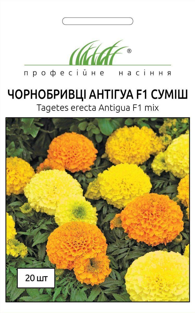 Чорнобривці Антігуа F1, 20 шт