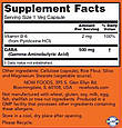 NOW Foods GABA 500 mg, Гамма-аминомасляная кислота (100 капс.), фото 2