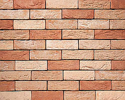 Плитка клинерна Vandersanden колір 03 Neo Magnolia DF 210x20x65 мм