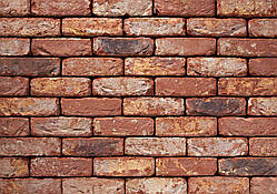 Плитка клинерна Vandersanden колір 040 Oud Maasland DF 210x20x65 мм