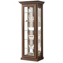 Вітрина однодверна у вітальню ДСП/Скло Терра Скай