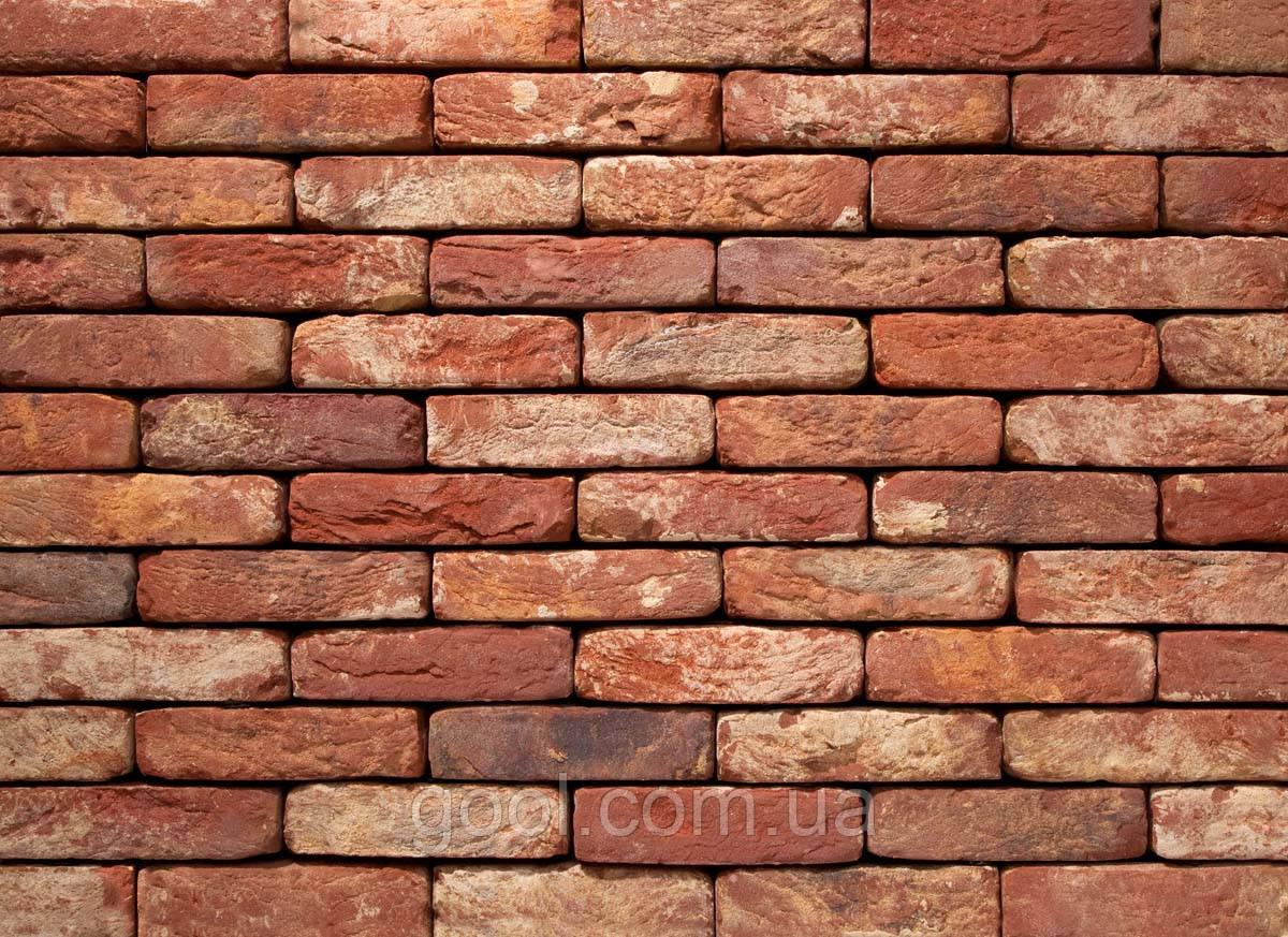 Плитка клинерна Vandersanden колір 060 Oud Brabant DF 210x20x65 мм