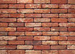 Плитка клинерна Vandersanden колір 060 Oud Brabant DF 210x20x65 мм