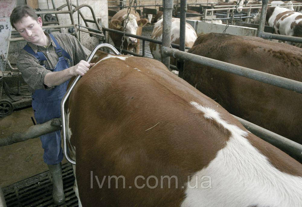 Антибрик для корів Anti-Kick, регульований FARMA