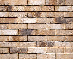 Плитка клинерна Vandersanden колір 081 Ligure WF 210x20x50 мм
