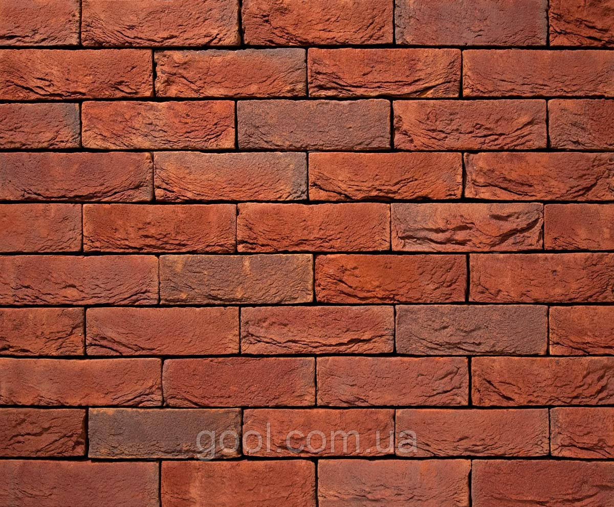 Плитка клинерна Vandersanden колір 095 Scala WF 210x20x50 мм