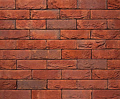 Плитка клинерна Vandersanden колір 095 Scala WF 210x20x50 мм