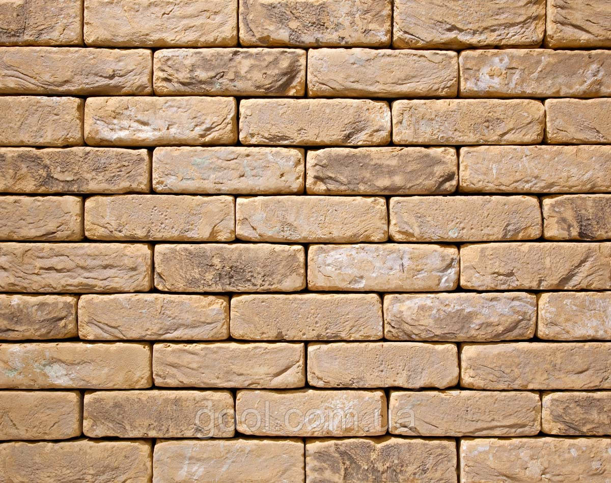 Плитка клинерна Vandersanden колір 101 Oud Blanckaert DF 210x20x65 мм