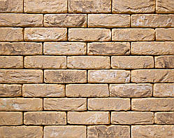 Плитка клинерна Vandersanden колір 101 Oud Blanckaert DF 210x20x65 мм