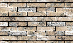Плитка клинерна Vandersanden колір 302 Hubertus DF 210x20x65 мм