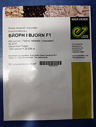 Бйорн F1/Biorn F1 — Огірок, Enza Zaden. 500 насіння