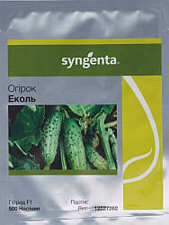 Еколь F1/Ekol F1 — Огірок, Syngenta. 500 насіння