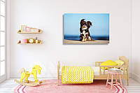 Картина в детскую на холсте "Забавная собака чихуахуа позирует на пляже в солнцезащитных очках"