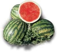 Насіння кавуна КРИСБІ F1 1000 насінин Nunhems