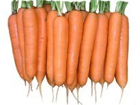 Семена моркови ЭЛЕГАНС F1 (1,8-2,0) 100 000 семян Nunhems - фото 1 - id-p11376748