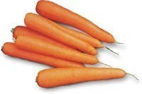 Семена моркови ЛАГУНА F1 (1,6-1,8) 25 000 семян Nunhems