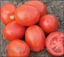 Насіння томату АДВАНС F1 (драже) 25 000 насінин Nunhems