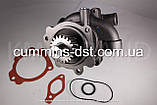 Водяной насос (помпа) Cummins L10/M11/QSM11/ISM11, фото 3