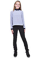 Блузка дитяча для дівчаток М-1069 зріст 134 140 146 152 158 164 і 170 тм "Попілюшка"