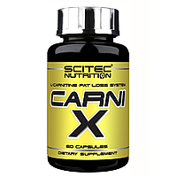 Carni X Scitec Nutrition 60 капсул