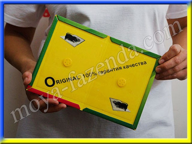 Клейовий килимок для мишей