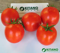 Насіння томат Асвон F1 (Kitano Seeds), 1 000 насінин — ранній (95-100 днів), детермінантний, високопродуктивний