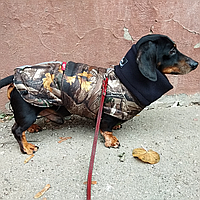 Одежда для собак куртка жилет дождевик теплая водостойкая Попона для такс Active dog ( forest) M