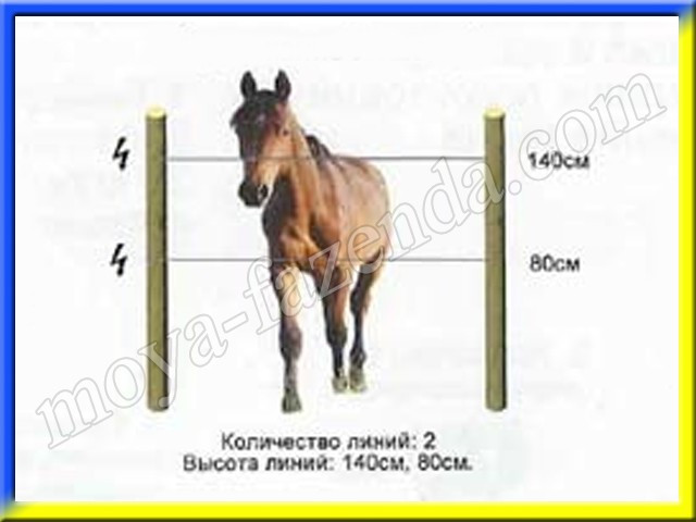 Електрична огорожа для коней