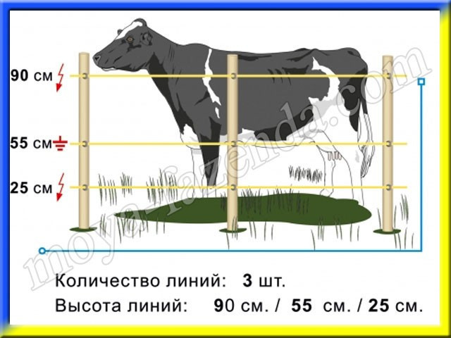 Комплект електричного огорожі для корів