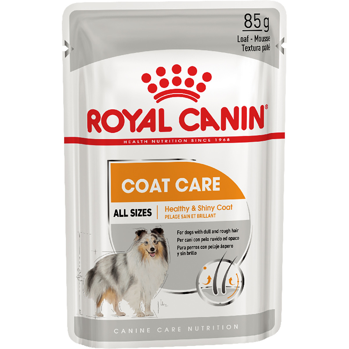 Royal Canin Coat Beauty Loaf вологий корм для собак з тьмяною та сухою шерстю, паштет, 85ГРх12ШТ, фото 1