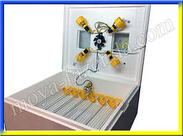 Інкубатор для дому на 63 яєць (автоматичний переворот)